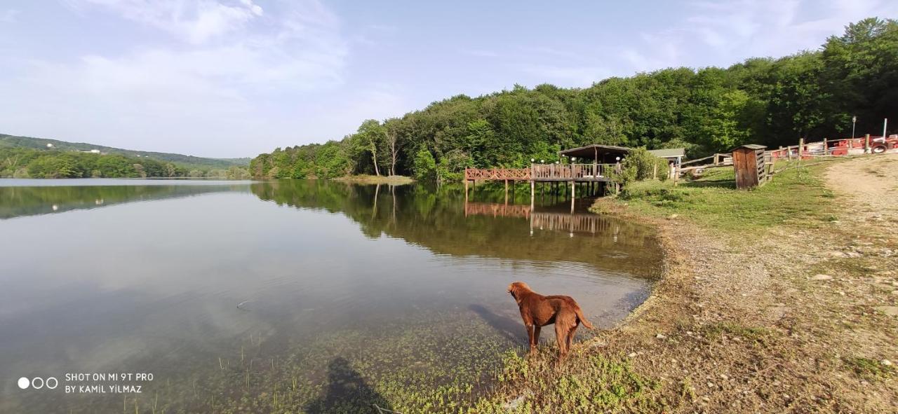 Yildiz Country Hotel Synopa Zewnętrze zdjęcie