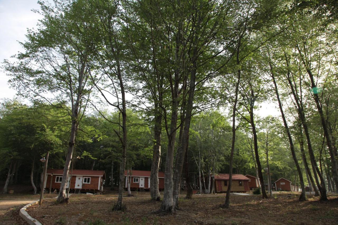 Yildiz Country Hotel Synopa Zewnętrze zdjęcie